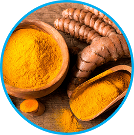 Venus Factor Ingredients